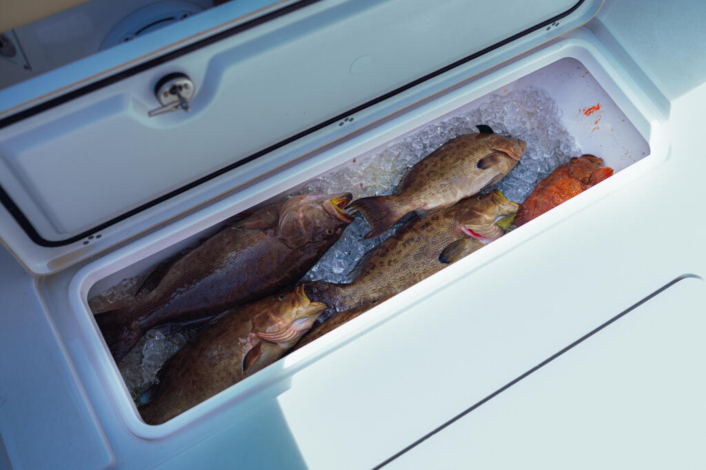 Detail image of 295-quart Insulated & Macerated In-deck Fish Boxes