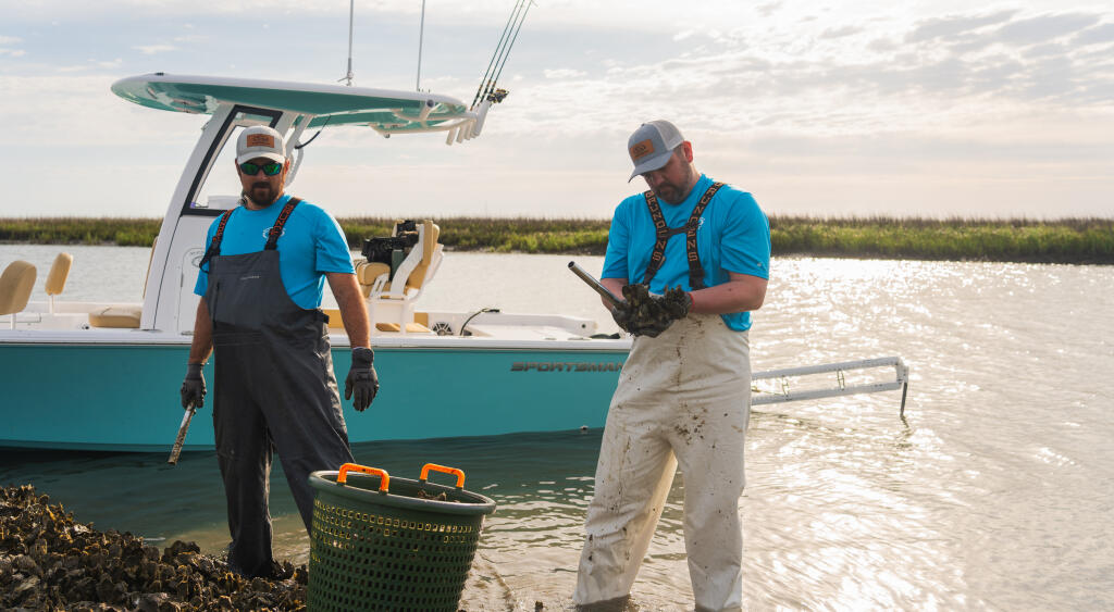 Two men in waders harvest oysters from shallow water near a docked turquoise bay boat