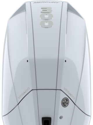 Mercury outboard engine with white cowling and dual control ports viewed from above