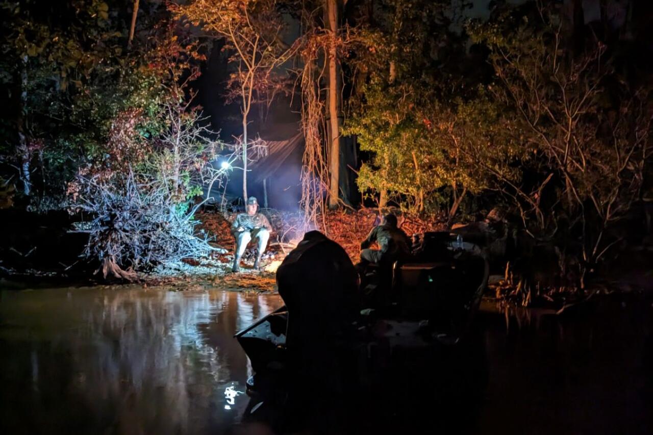 Night fishing scene with anglers in a boat on water, illuminated by spotlight on mangrove shoreline
