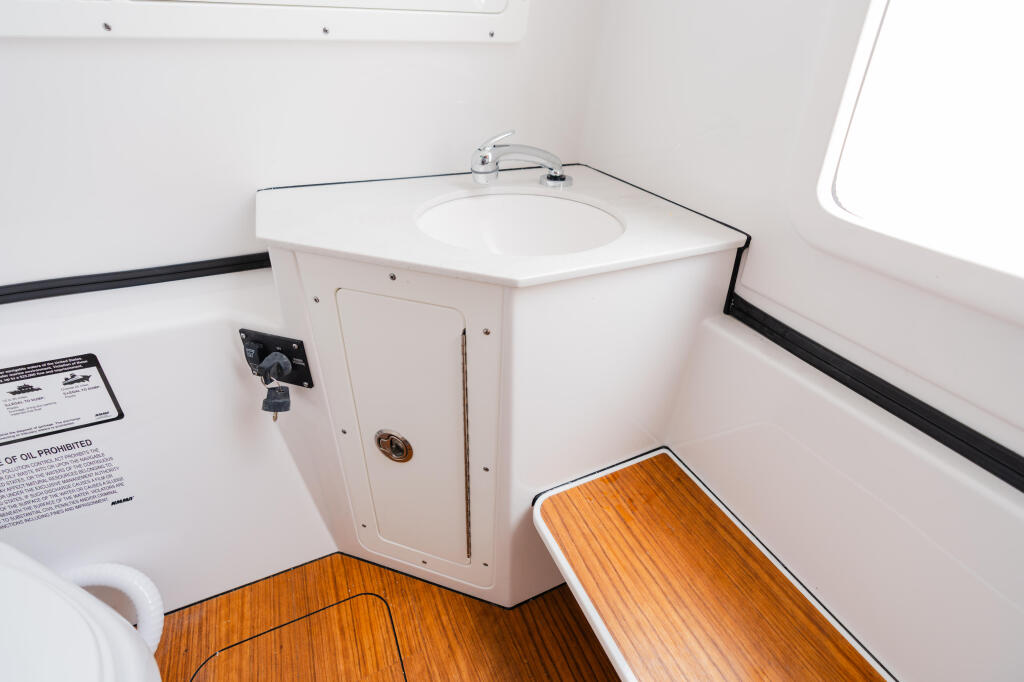 Detail image of Pull-out Shower And Sink