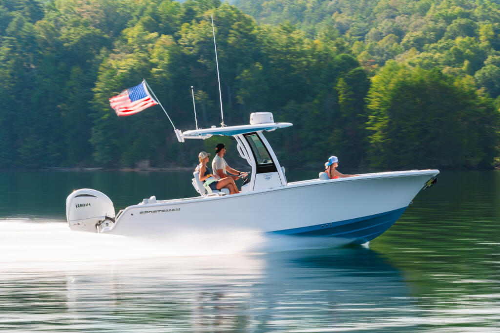 Boaters cruising past forested shoreline with American flag flying from hard-top