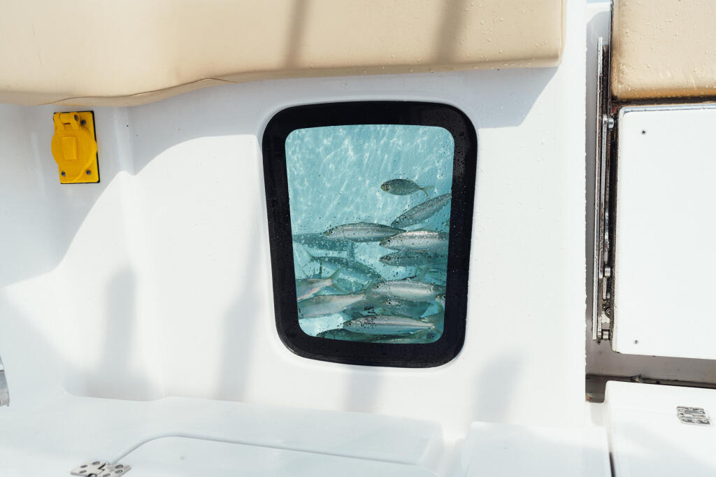 Detail image of Twin Pressurized 40-Gallon Aquarium Livewells w/ Clear Lids