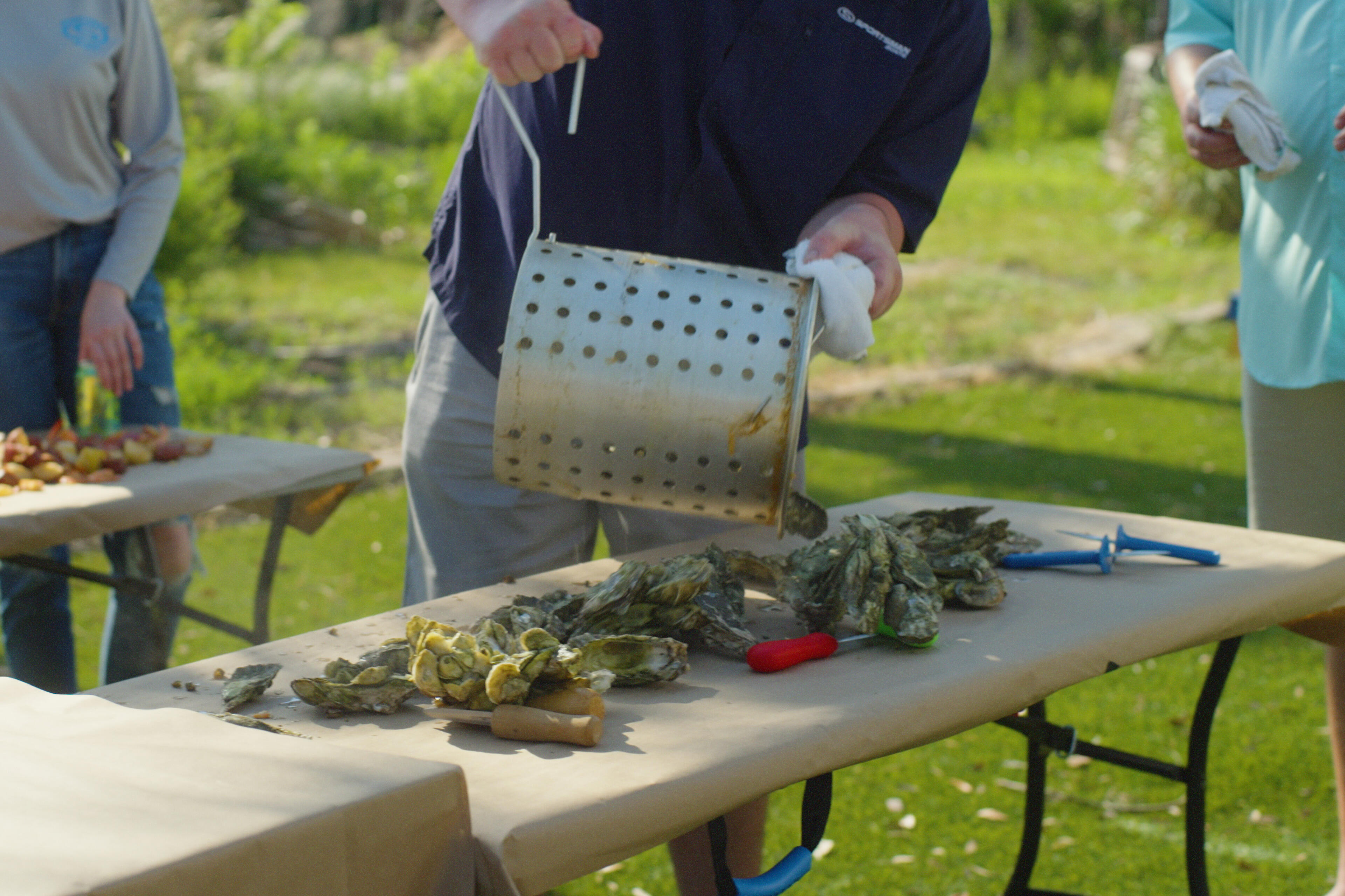 Person holding a perforated basket of freshly harvested oysters over a table with sorted shellfish during an outdoor gathering