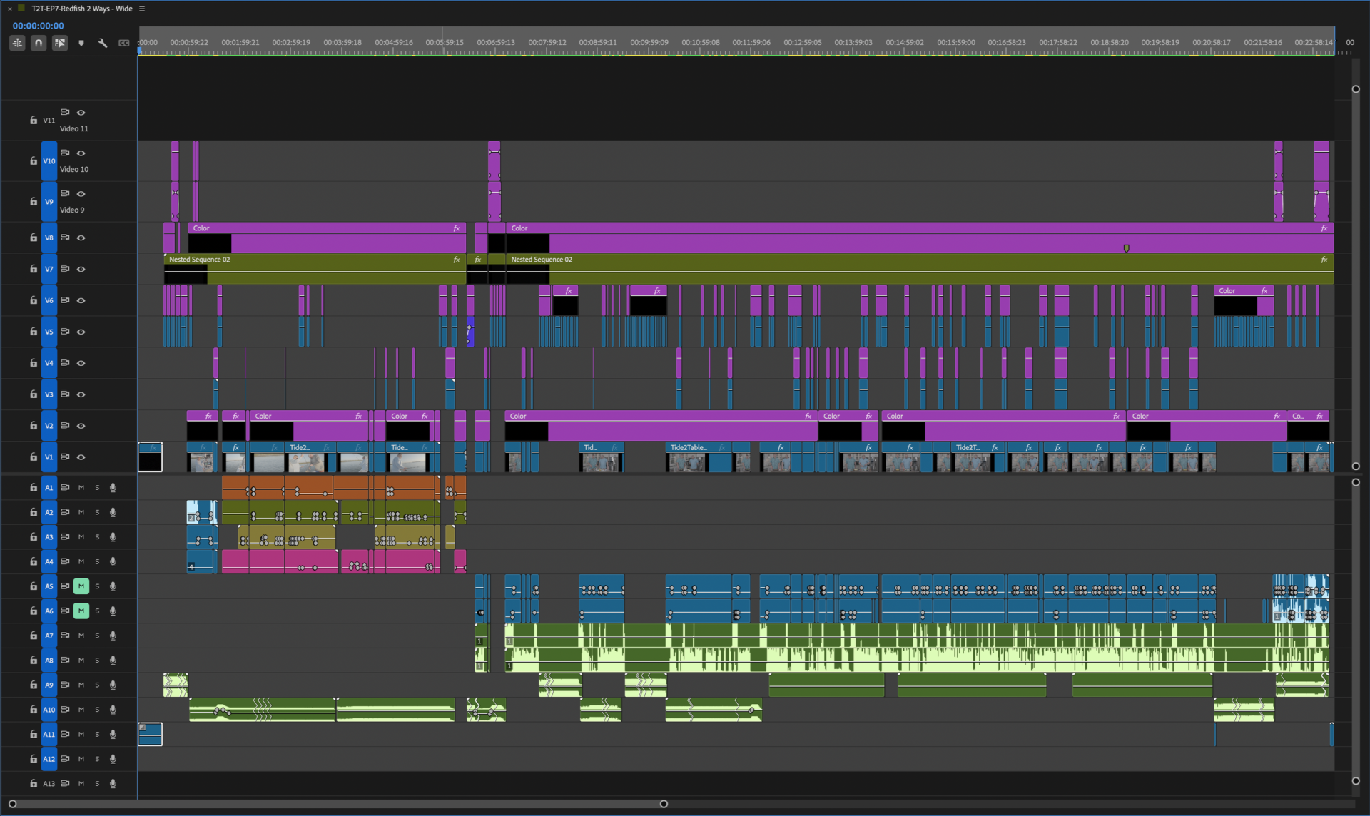 Digital audio workstation displaying a multi-track recording project with colored waveforms and timeline markers