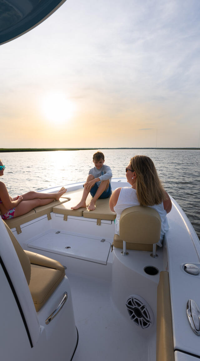 Detail image of the Masters 267 Bay Boat