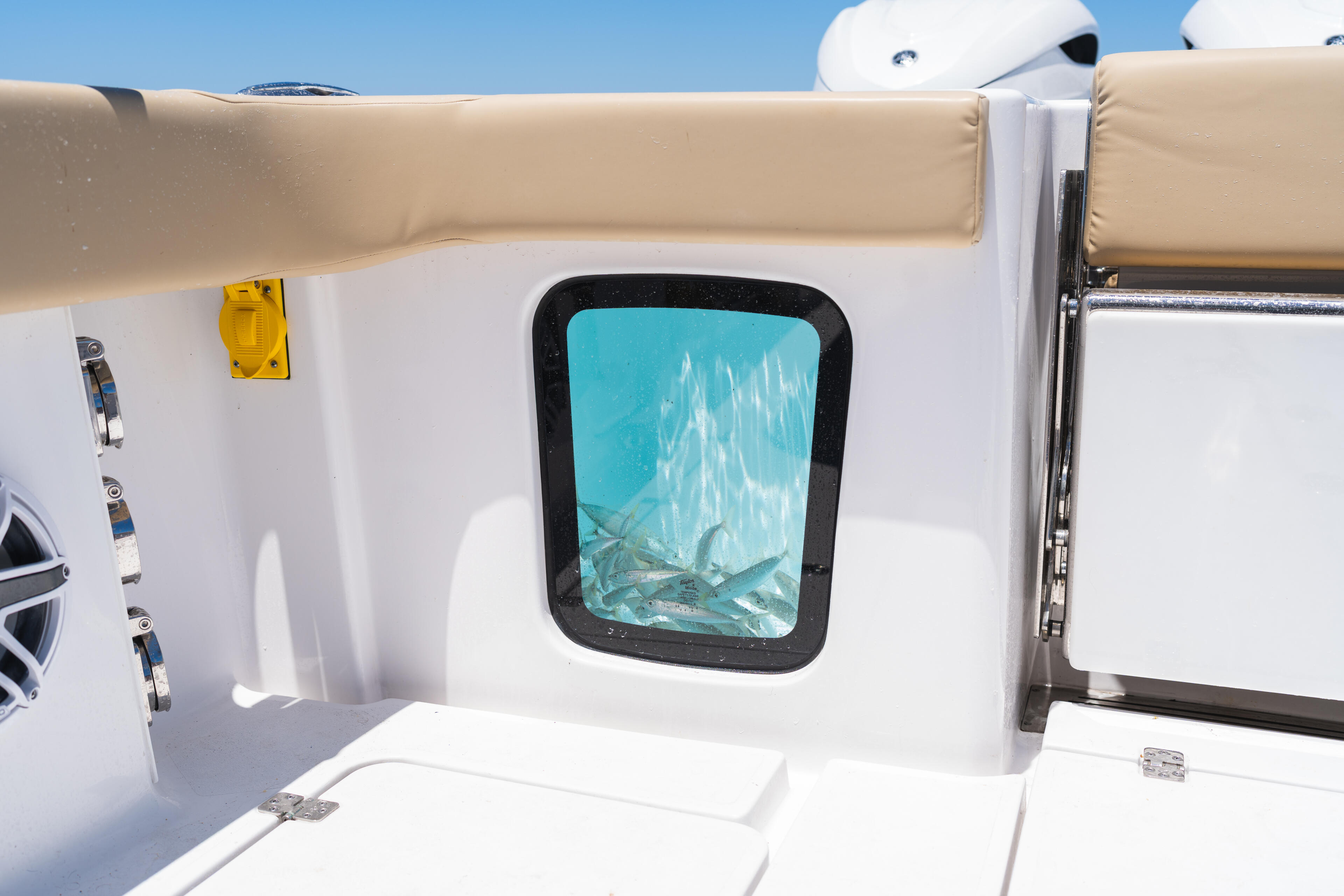 Clear-lid livewell window showing fish and water inside a white center console boat