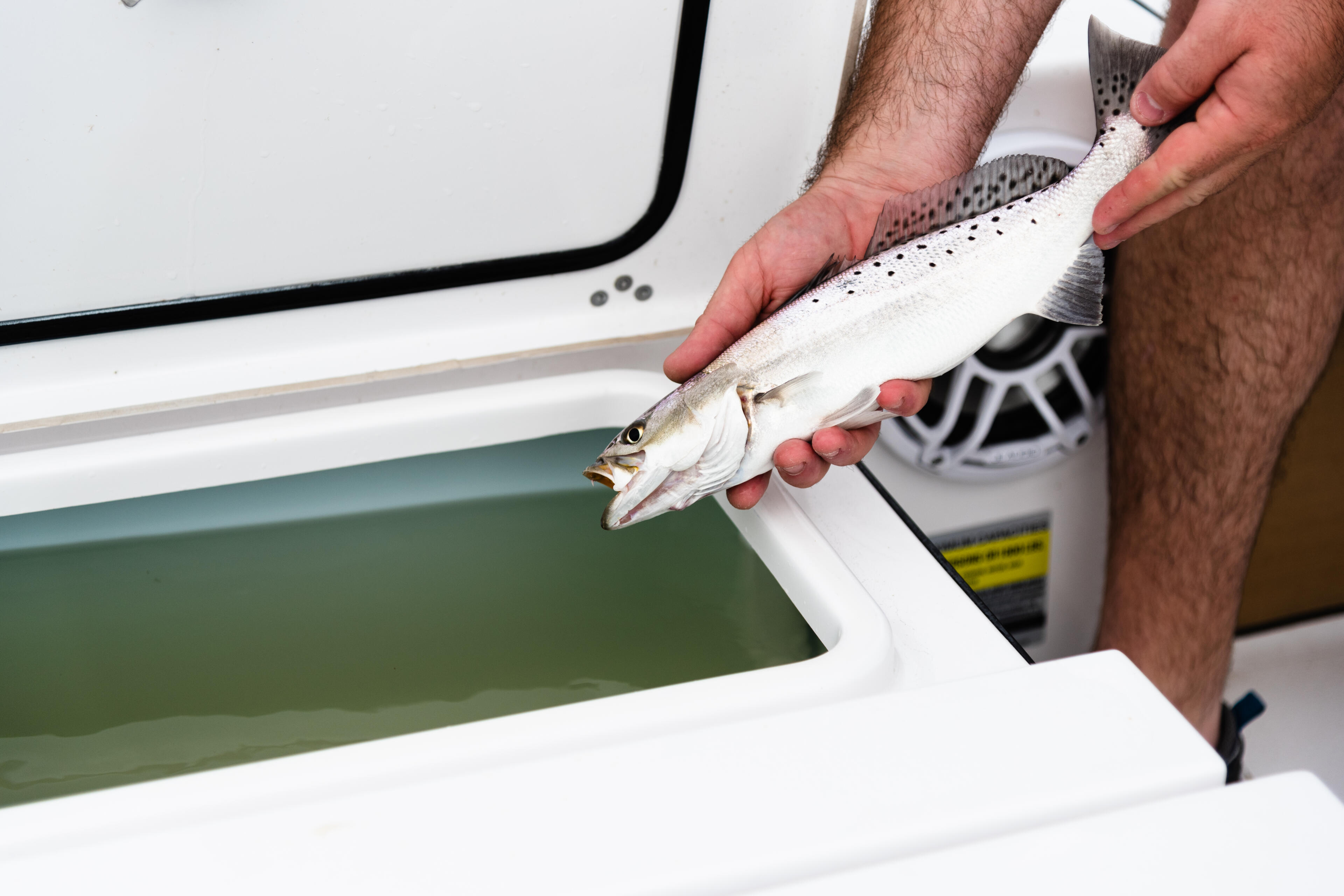 boat fish box cooler Flop 10 Bait no matter the case you can kit this up to suit your angling adventure How to Keep Your Catch
