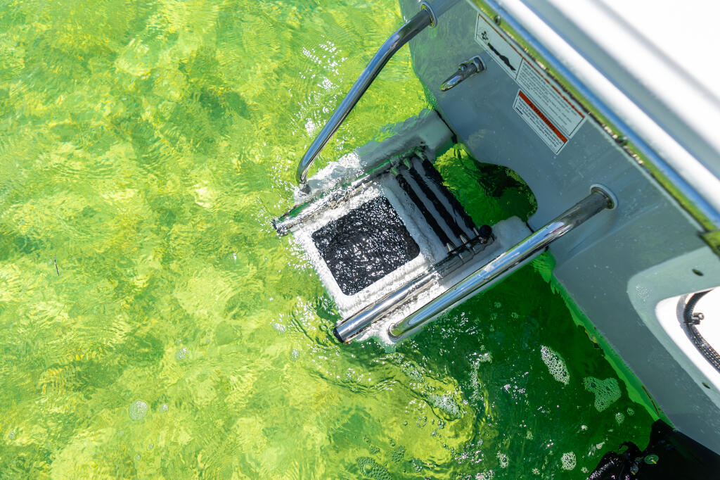 Swim platform with three-step ladder and livewell extending into shallow green water