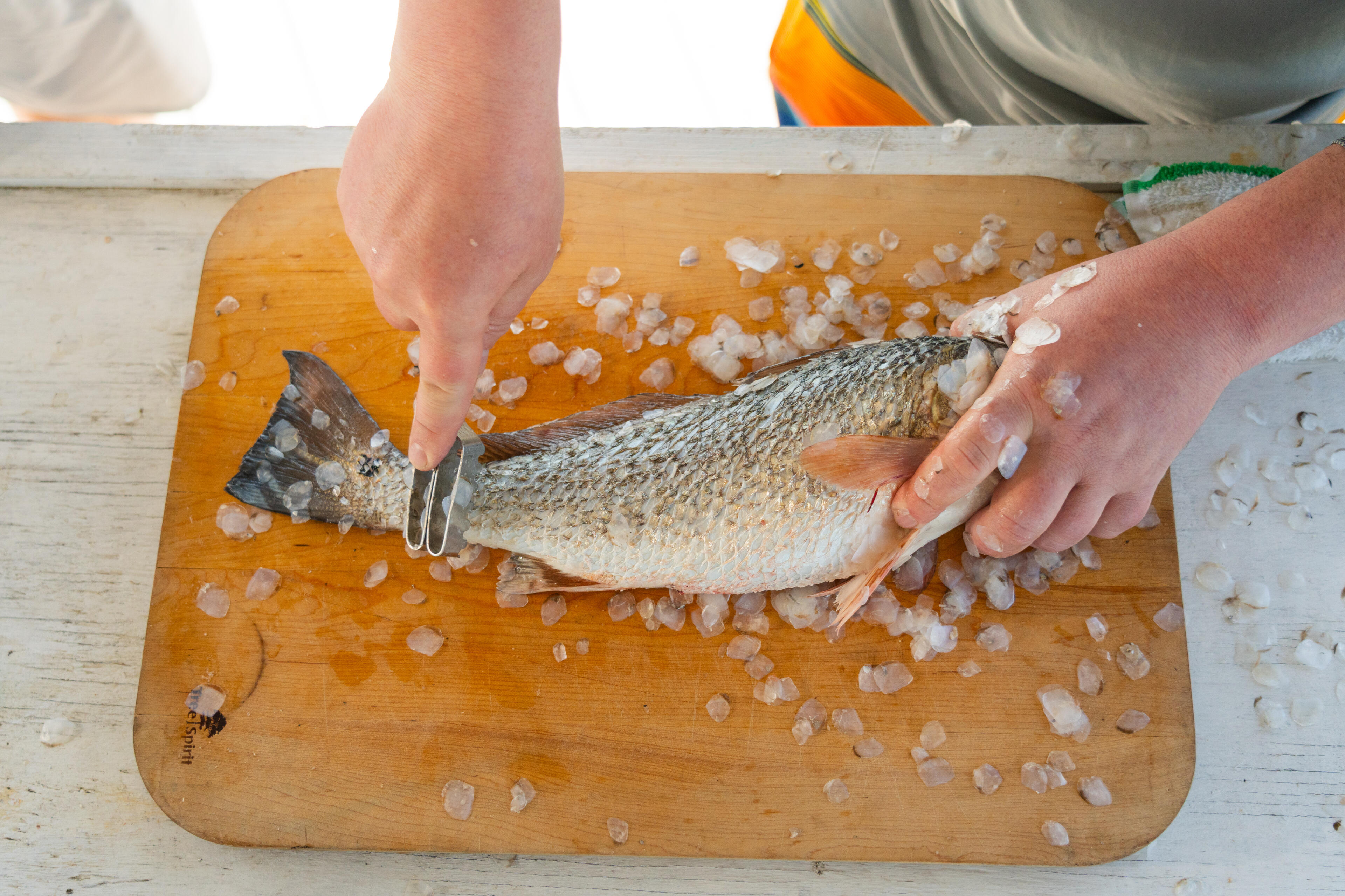 Hands fillet a fresh redfish on an ice-covered wooden cutting board