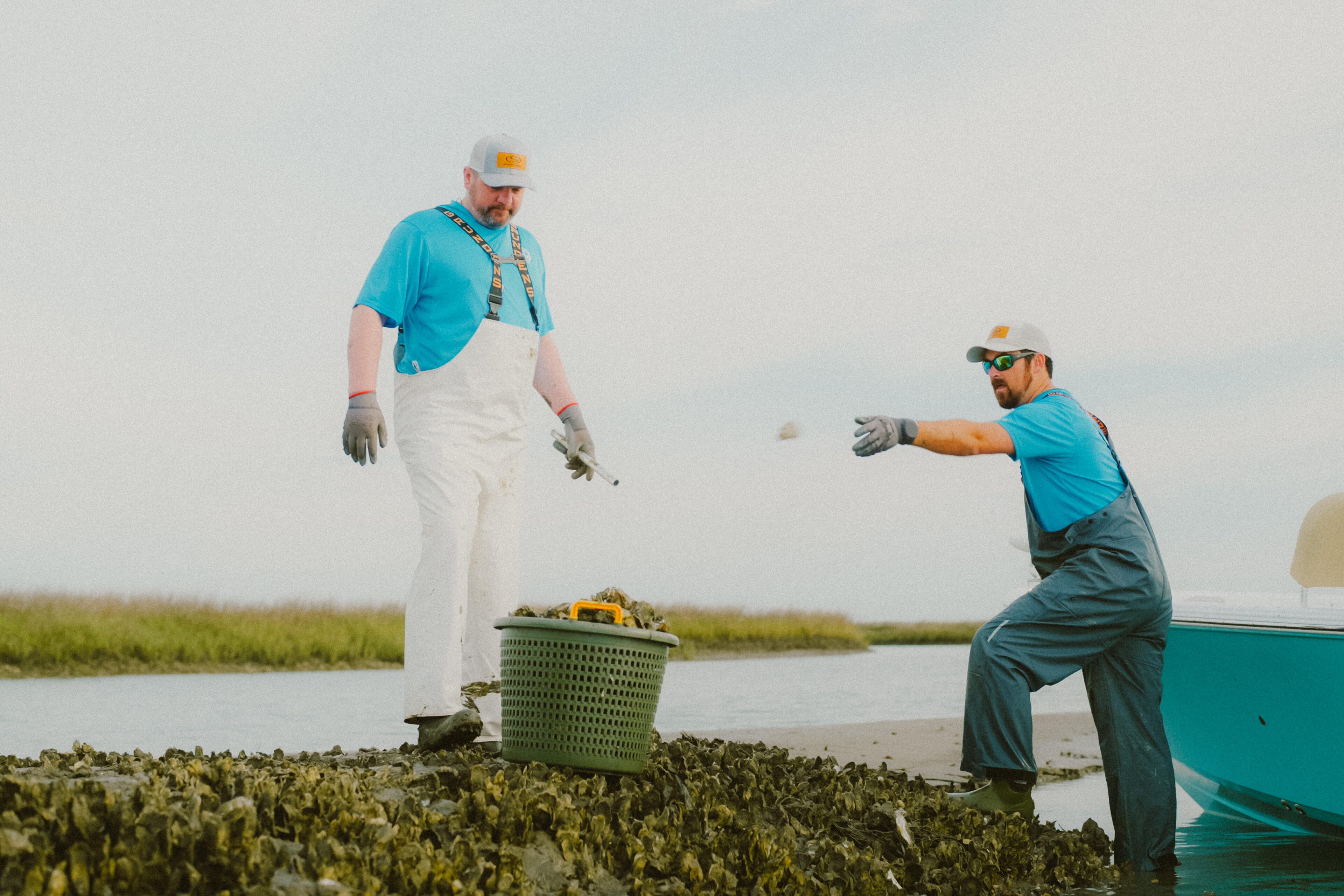 Two oyster harvesters work in shallow coastal waters with collection basket and turquoise boat nearby