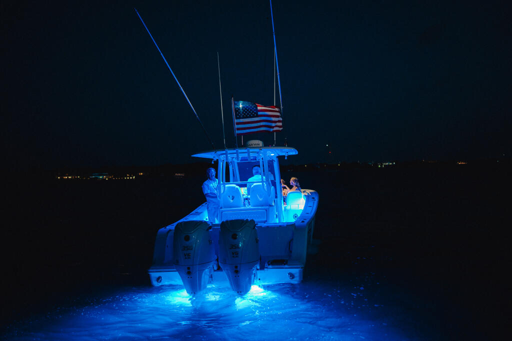 Detail image of Underwater Lights