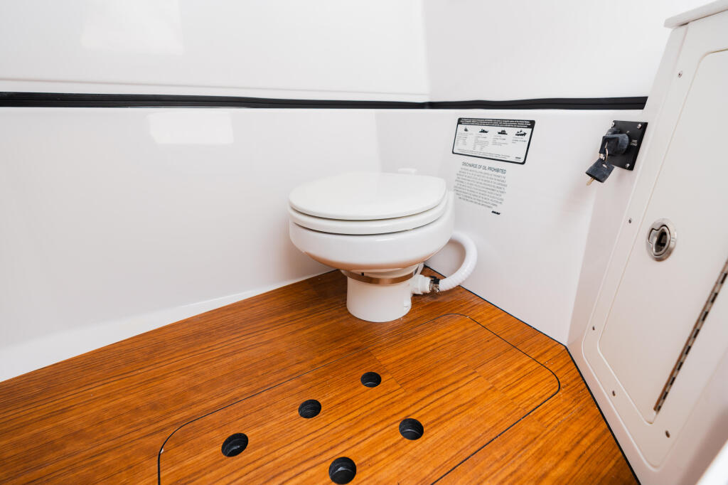 Detail image of Electric Porcelain Toilet w/ Discharge