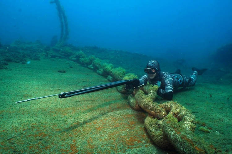 Underwater Hunting: Spearfishing the Right Way - American Outdoor