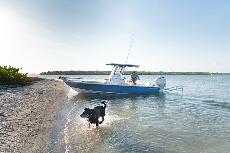 Cover image for the post Boating with Furry First Mates: A Guide to Boating with Your Dog
