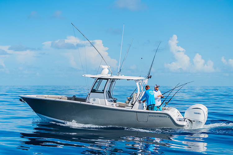 Cover image for the post Choosing the Best Weather for an Offshore Fishing Trip: A Practical Guide