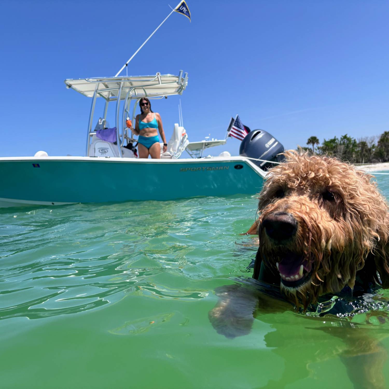 Great day at the beach with Murphy the Golden-Doodle who loves going on the boat every weekend.