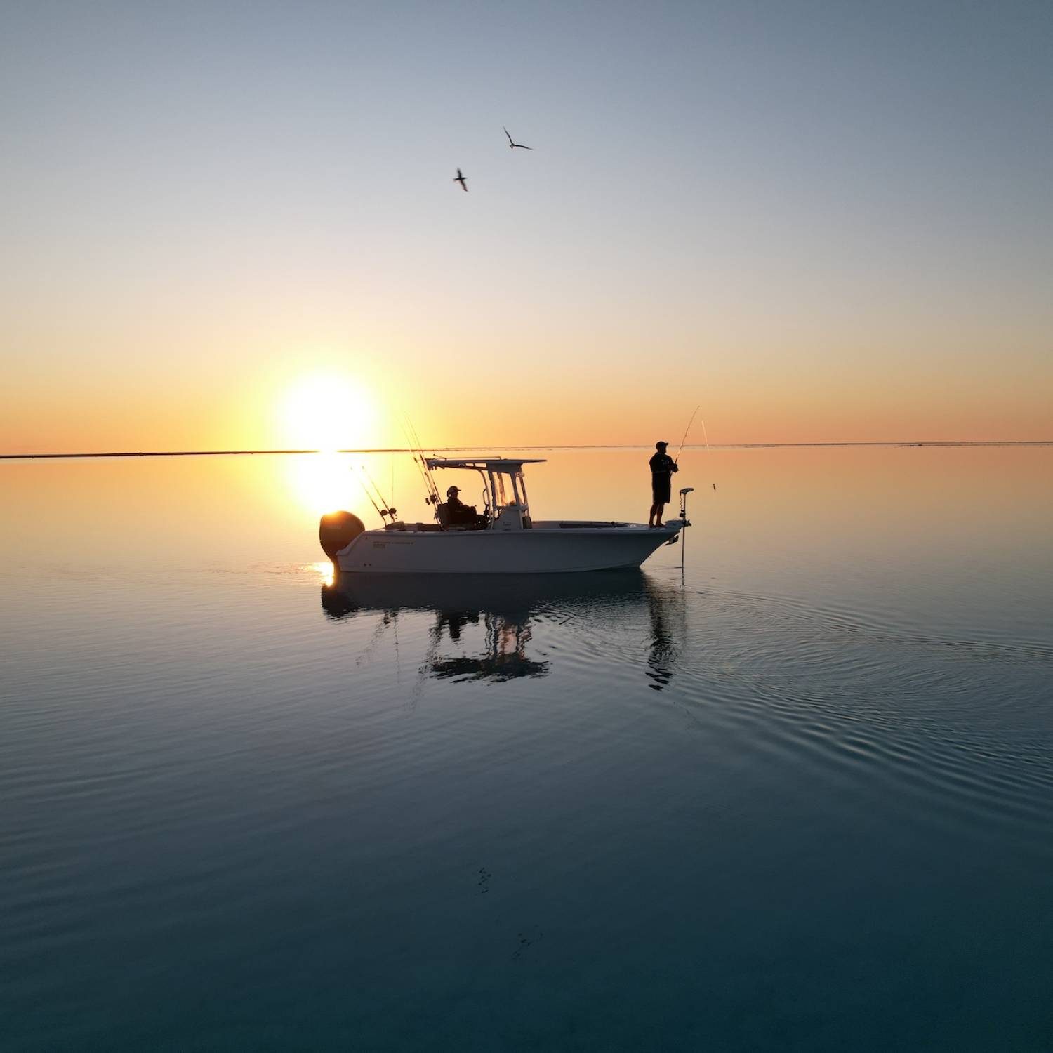 Title: Sunsets on The Reef - On board their Sportsman Open 232 Center Console - Location: The Great Barrier Reef. Participating in the Photo Contest #SportsmanOctober2024