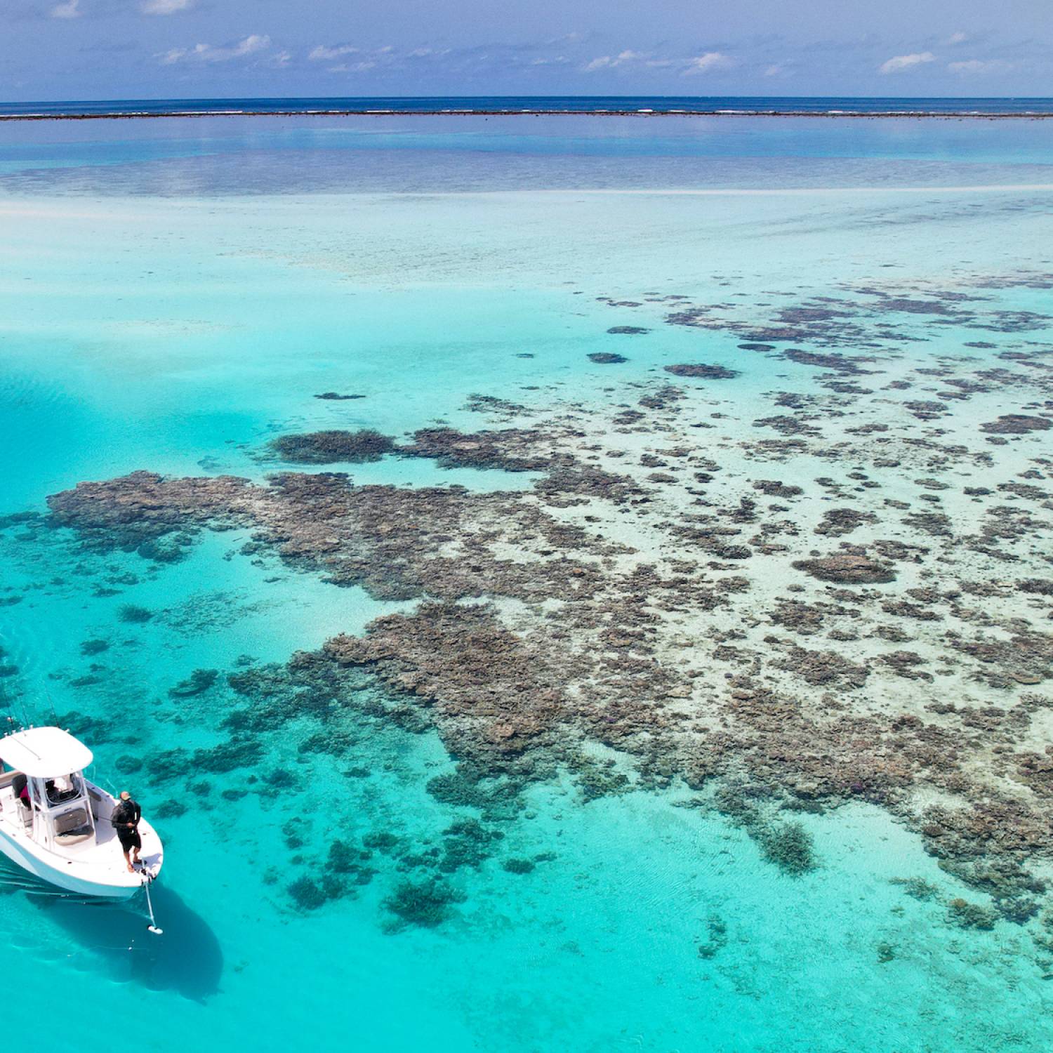 Title: The Great Barrier Reef Australia - On board their Sportsman Open 232 Center Console - Location: The Great Barrier Reef. Participating in the Photo Contest #SportsmanOctober2024