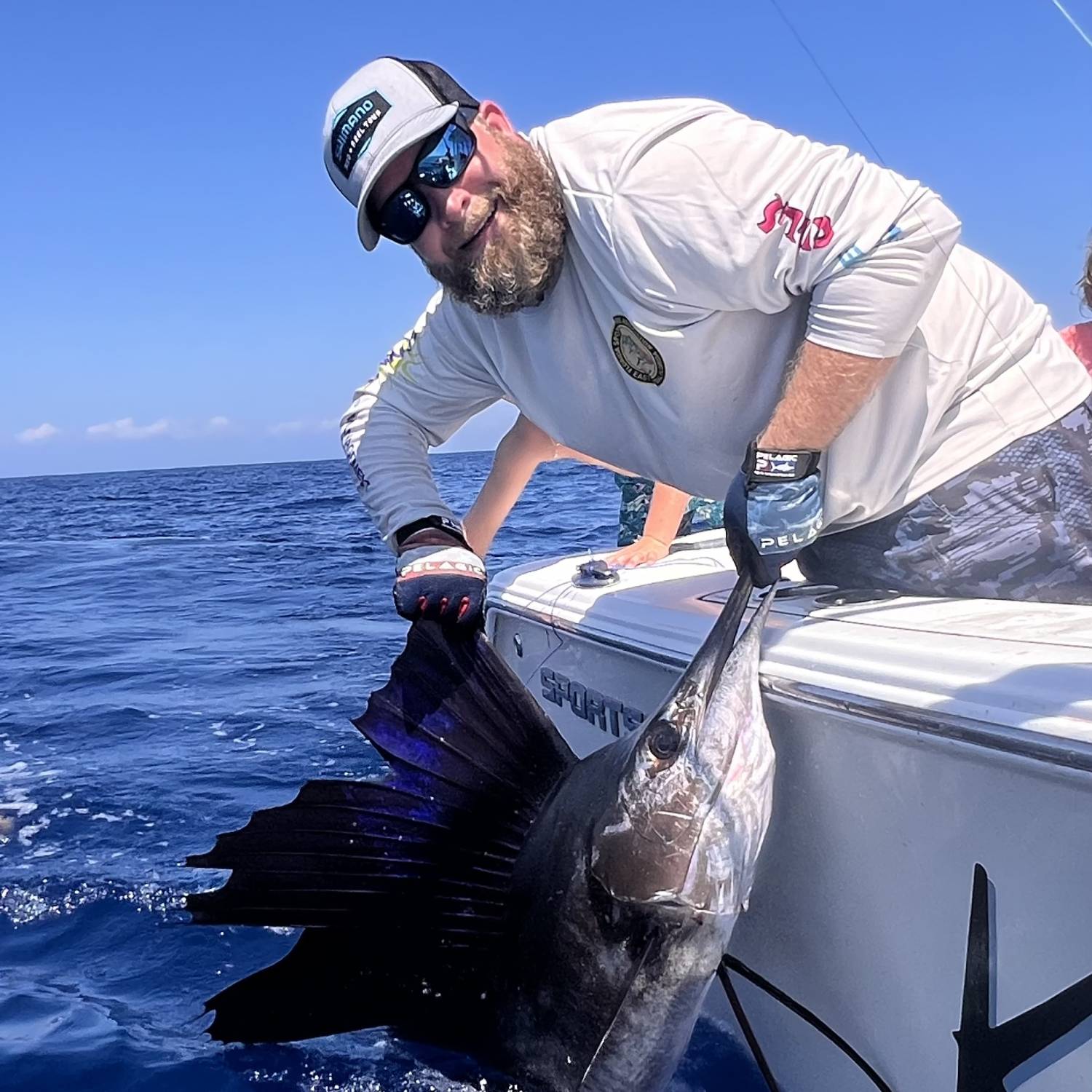 Title: Sailfish catching fool - On board their Sportsman Open 232 Center Console - Location: Sebastian Inlet Florida. Participating in the Photo Contest #SportsmanJune2024