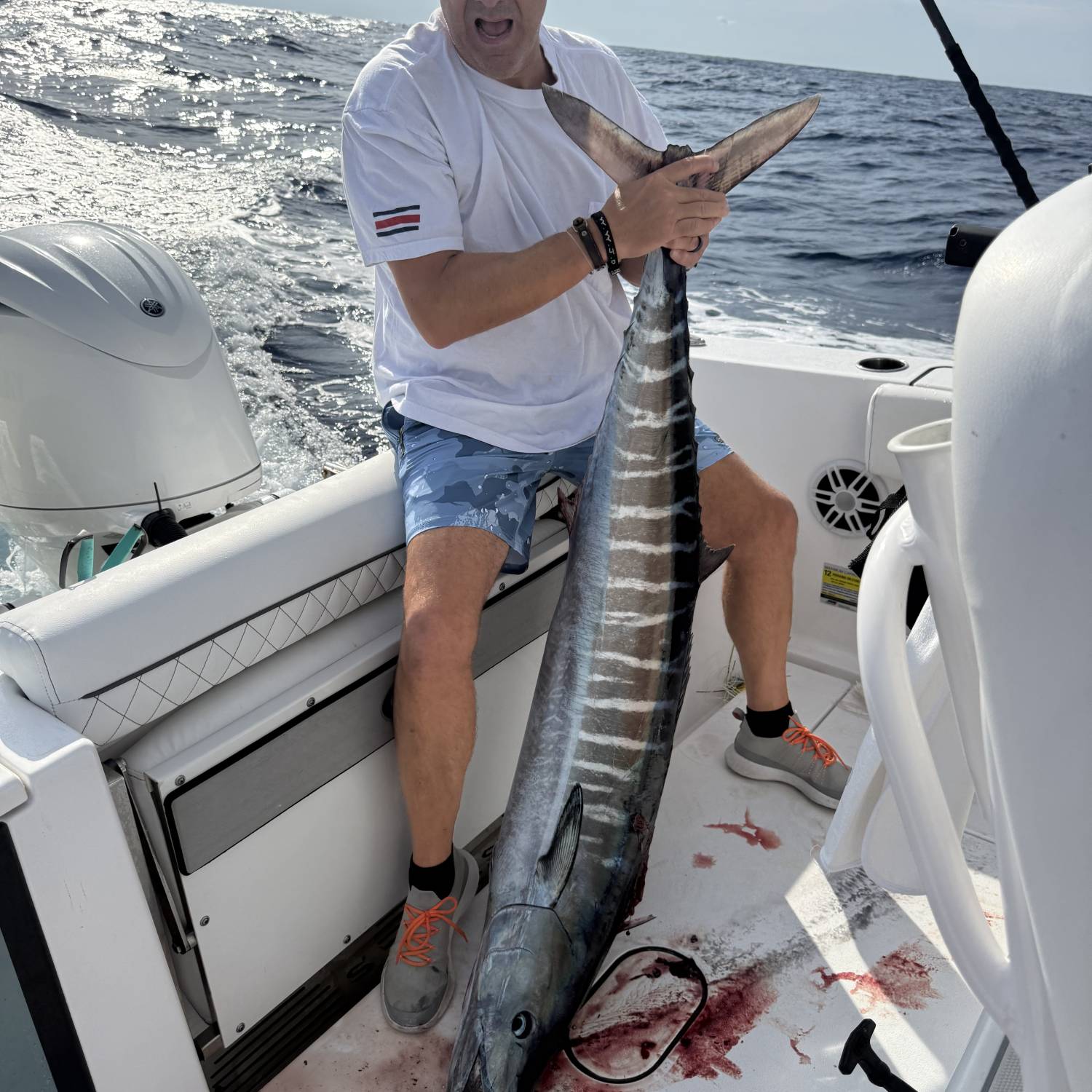Title: Wahoo - On board their Sportsman Open 252 Center Console - Location: Gulfstream off of SE North Carolina. Participating in the Photo Contest #SportsmanNovember2025