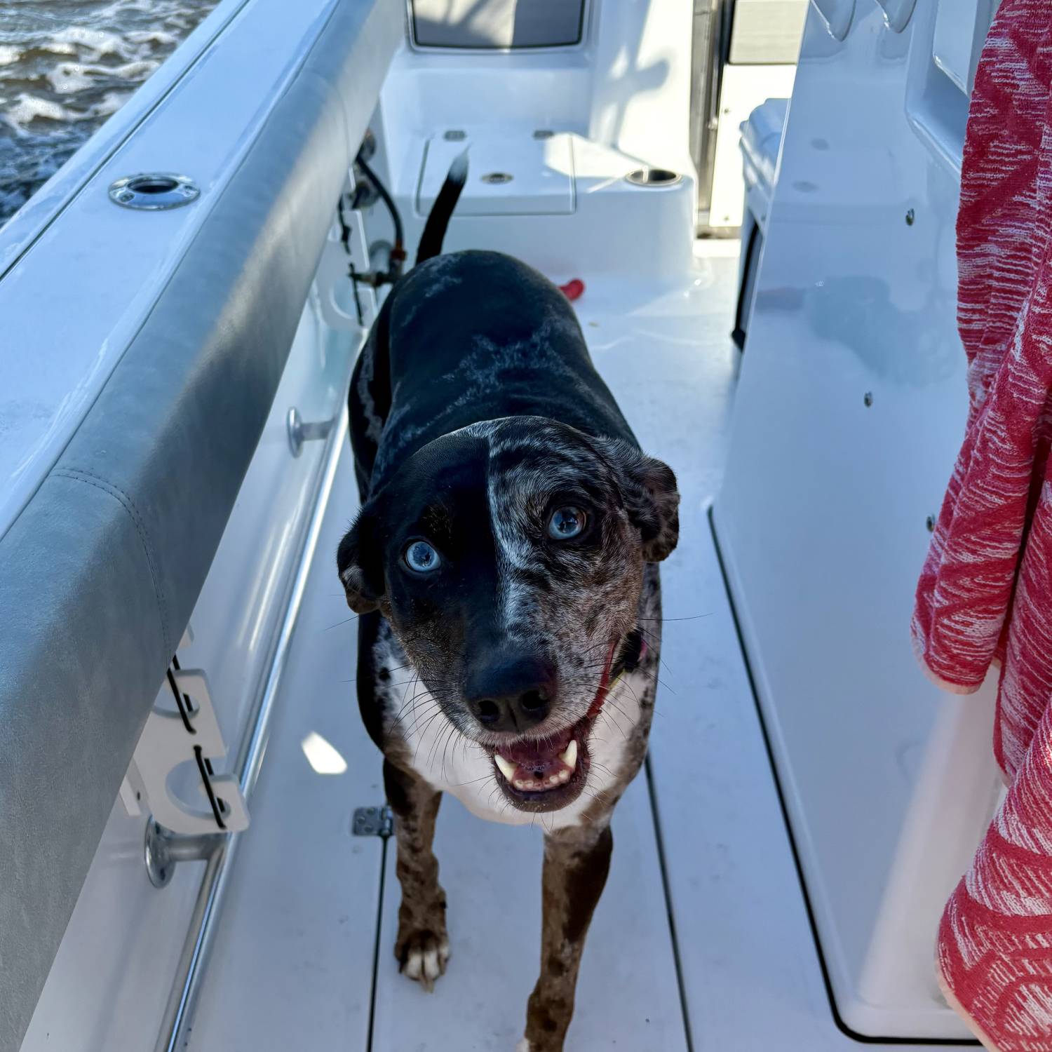 Title: Sportsman Smiles - On board their Sportsman Open 282 Center Console - Location: Mayport, FL. Participating in the Photo Contest #SportsmanOctober2025