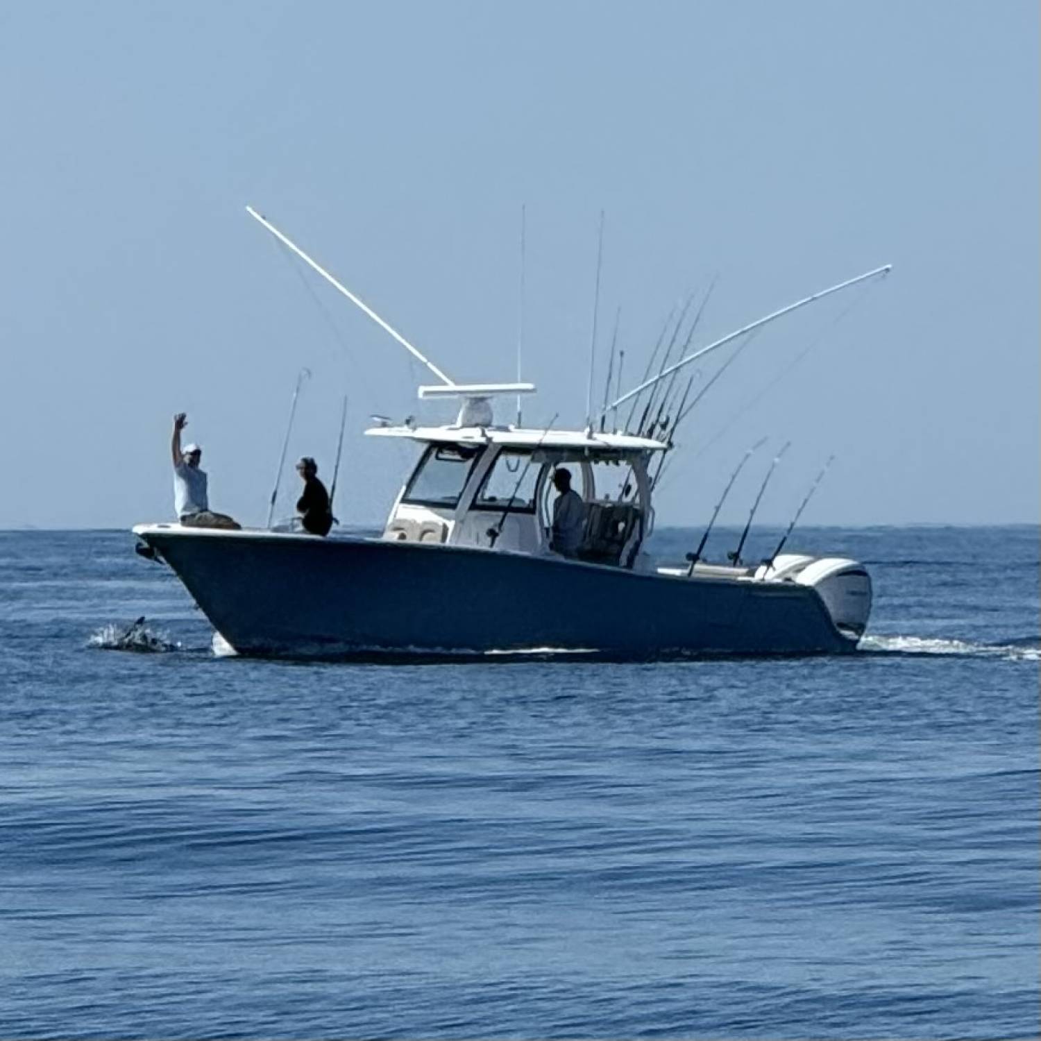 A tuna hunting machine, with a porpoise in the bow wake!