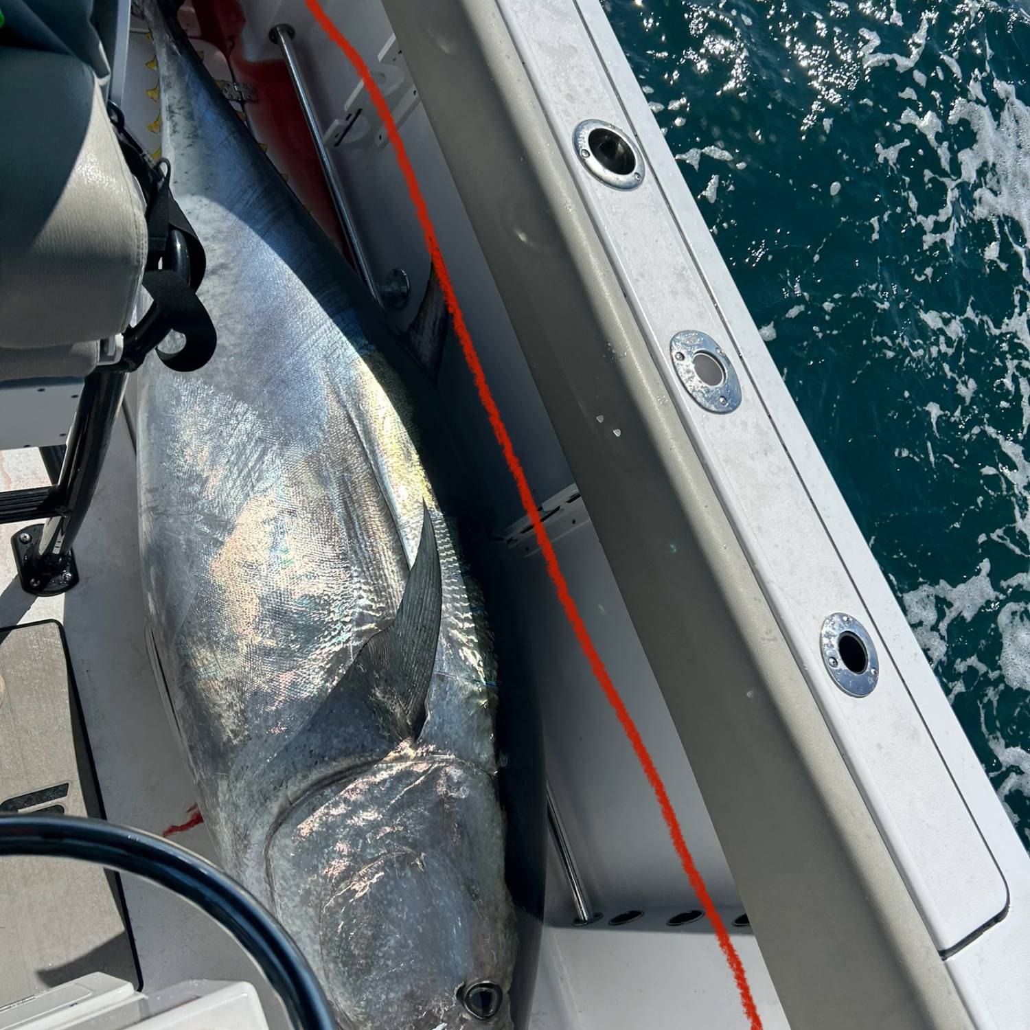 Title: Absolute Fishing Machine - On board their Sportsman Open 252 Center Console - Location: Hatteras NC. Participating in the Photo Contest #SportsmanMay2025