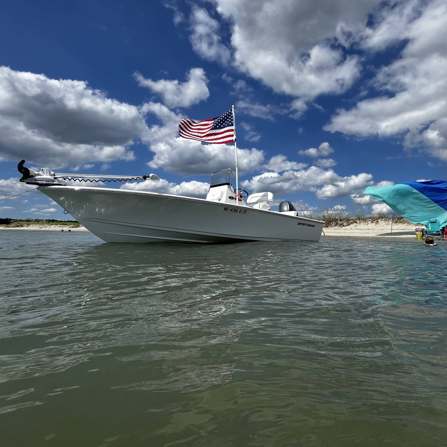 Family day at the sand bar.