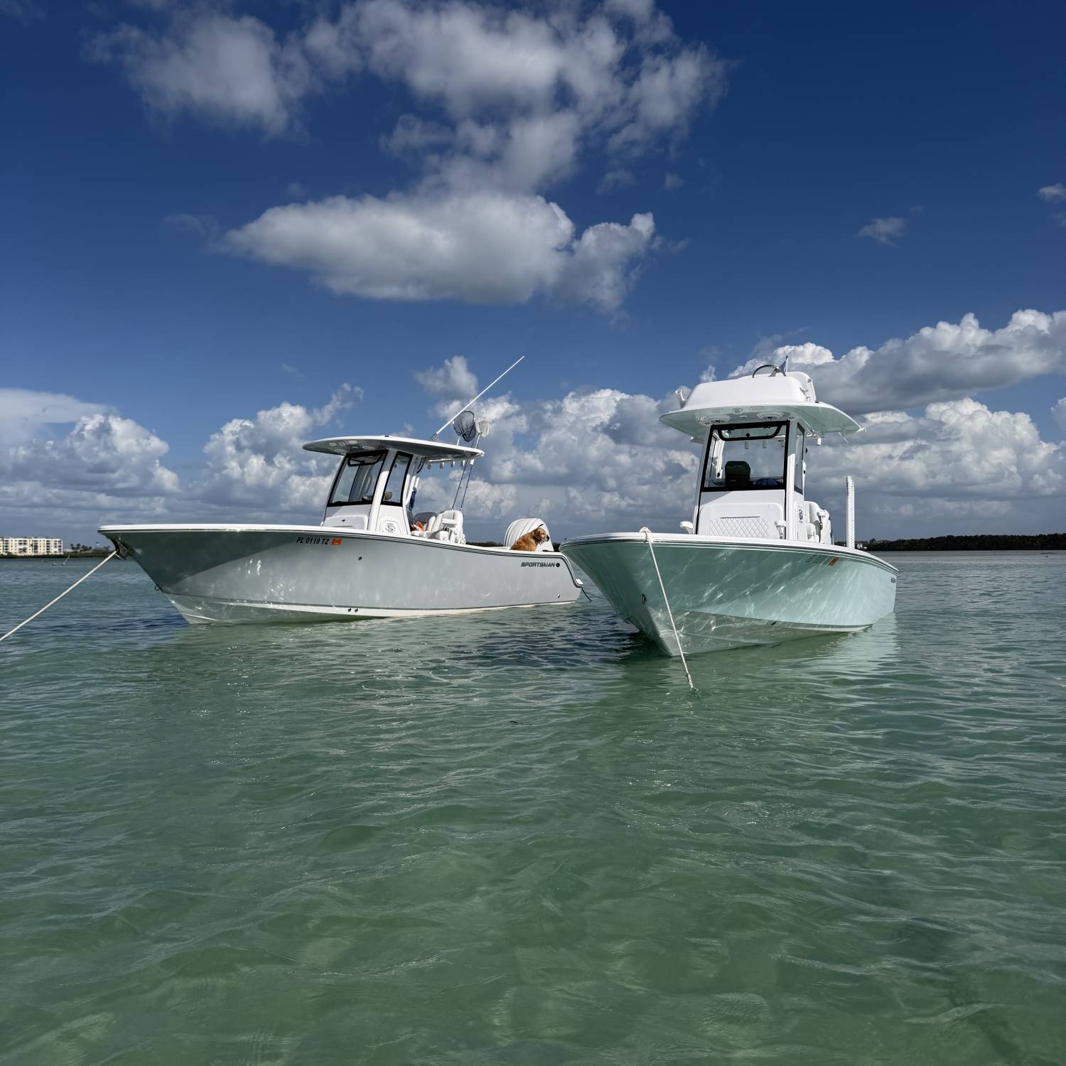 Title: Chillin with friends - On board their Sportsman Masters 247OE Bay Boat - Location: Shell Key. Participating in the Photo Contest #SportsmanMarch2026