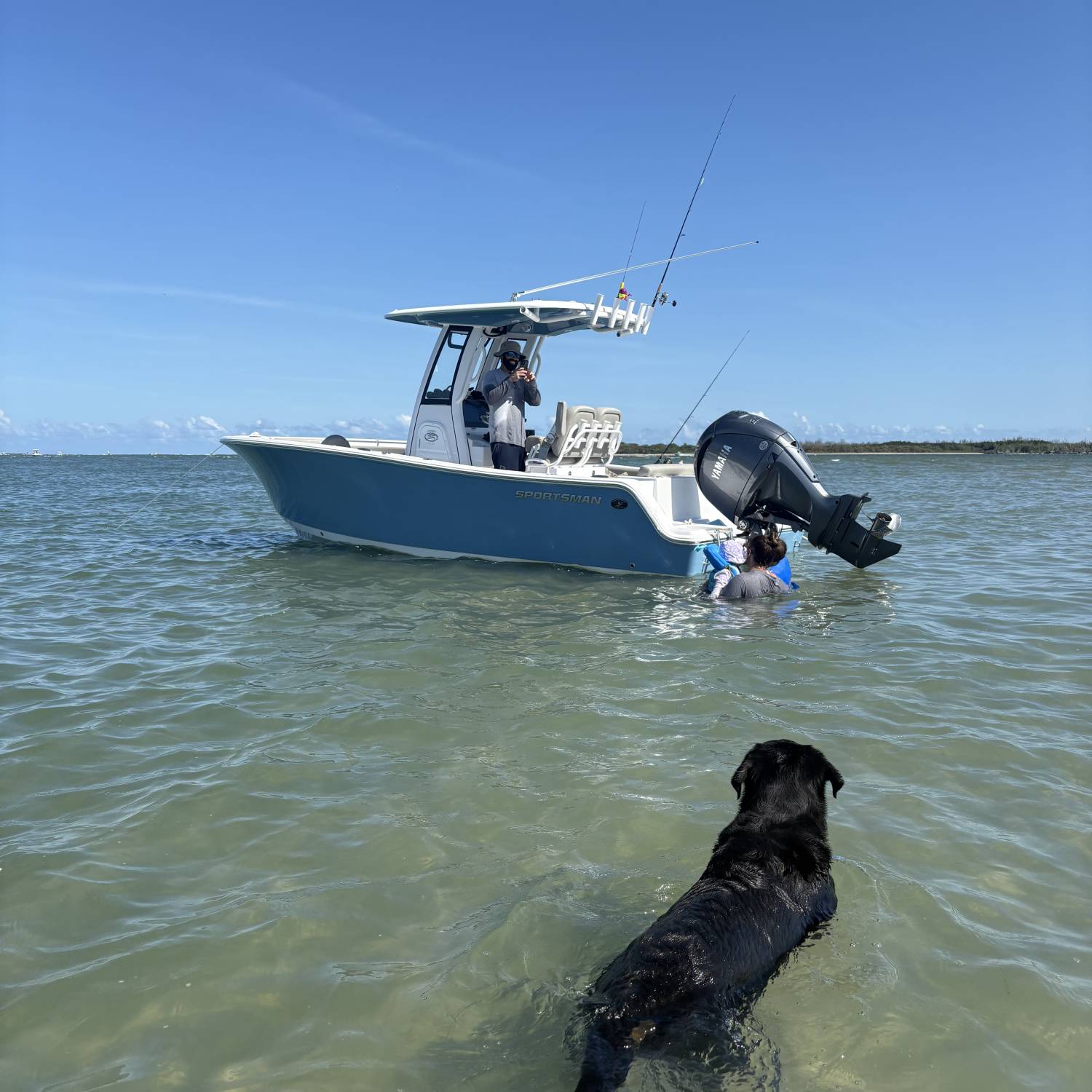 Chillin’ at the sandbar