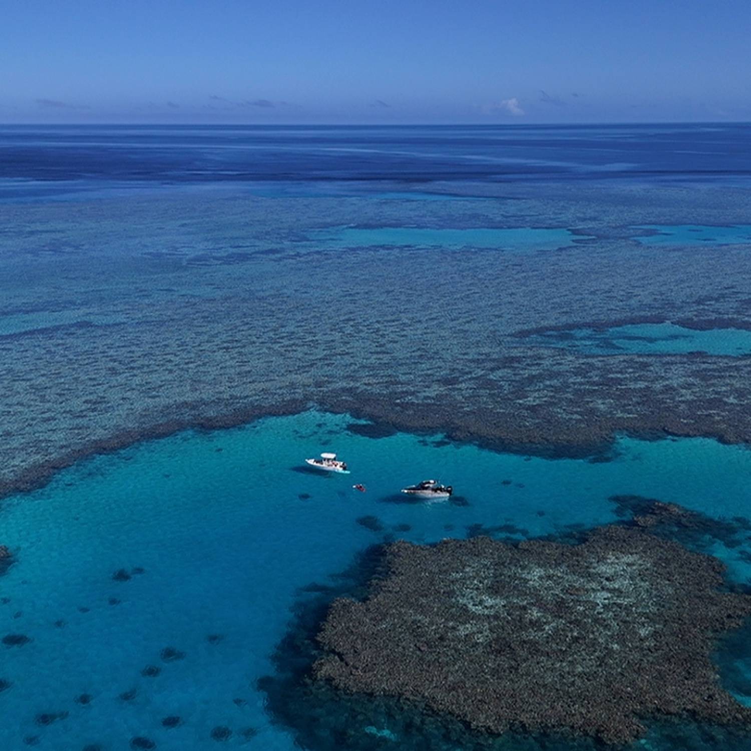 Fun times on the reef
