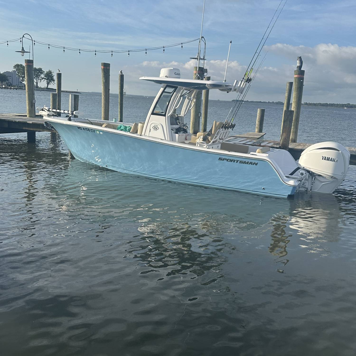 Morning fishing trip with the family