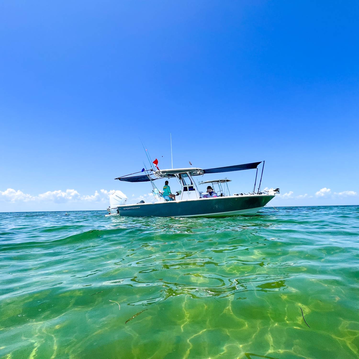 Family day at the sandbar